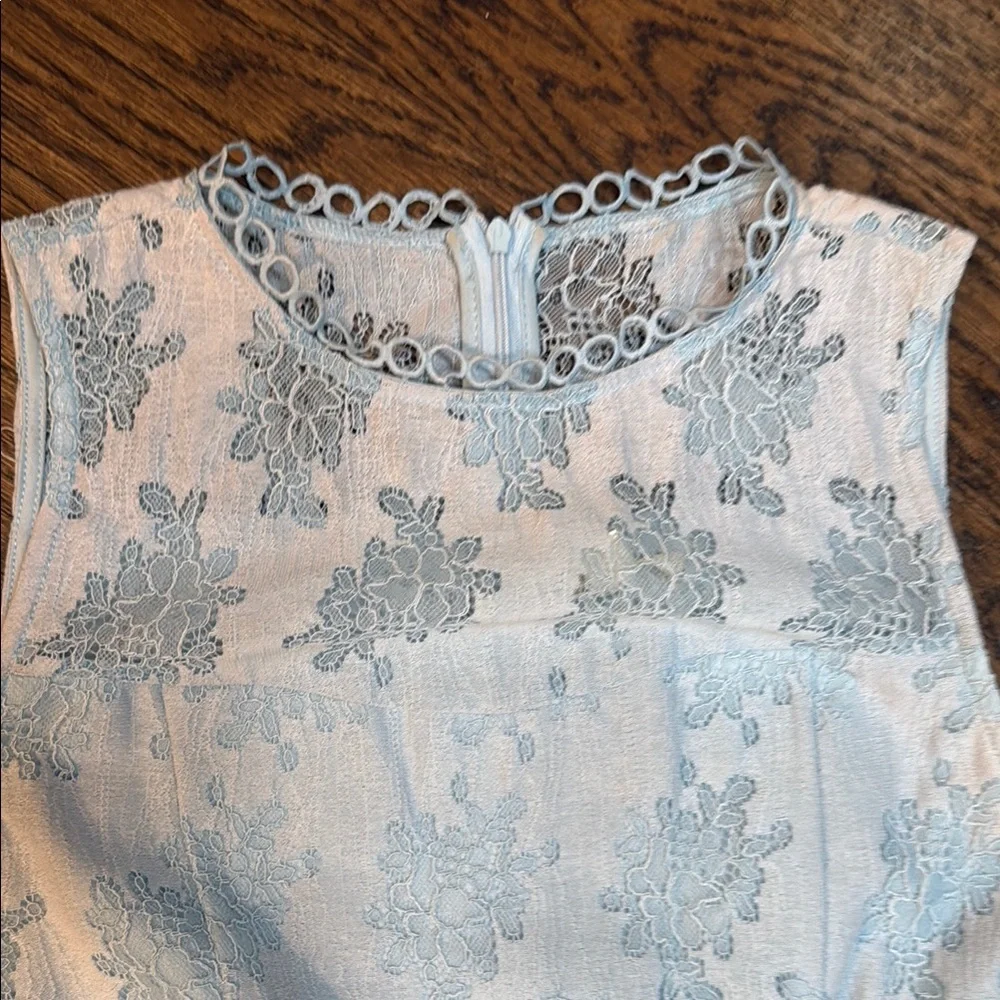 Elegant Blue Lace Dress - Picture 5 of 17